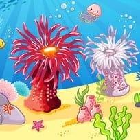 Animals That Look Like Plants