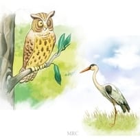 Animals With Weird Sleeping Posture