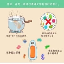 Why Canned Food Doesn't Go Bad Easily