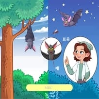 An Animal with Rader Capability Bats