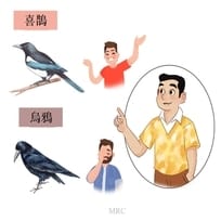 Are the Eurasian Magpie And The Crow Relatives?