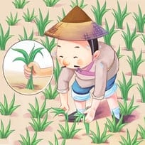 Spoiling Things By Excessive Enthusiasm