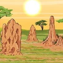 Termites and Their Skyscrapers