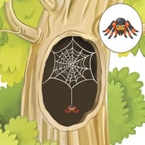 The Spider And Its Web